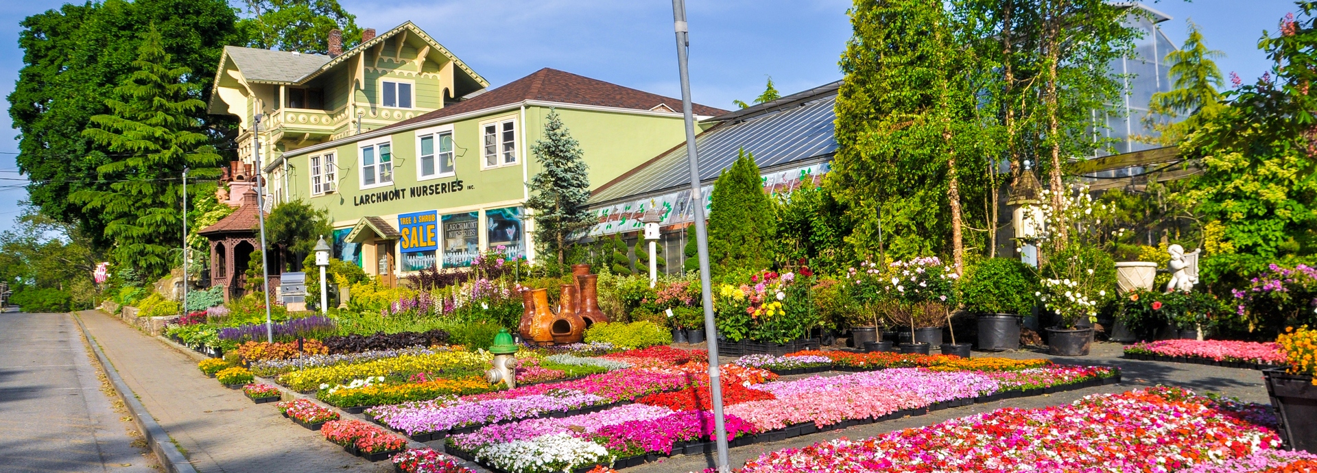 Larchmont Nurseries - Business Photo